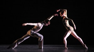 Of Opposing Nature Photo: Amitava Sarkar